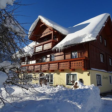 Linarhof Apartment Urlaub Am Bio Bauernhof Haus im Ennstal Dış mekan fotoğraf