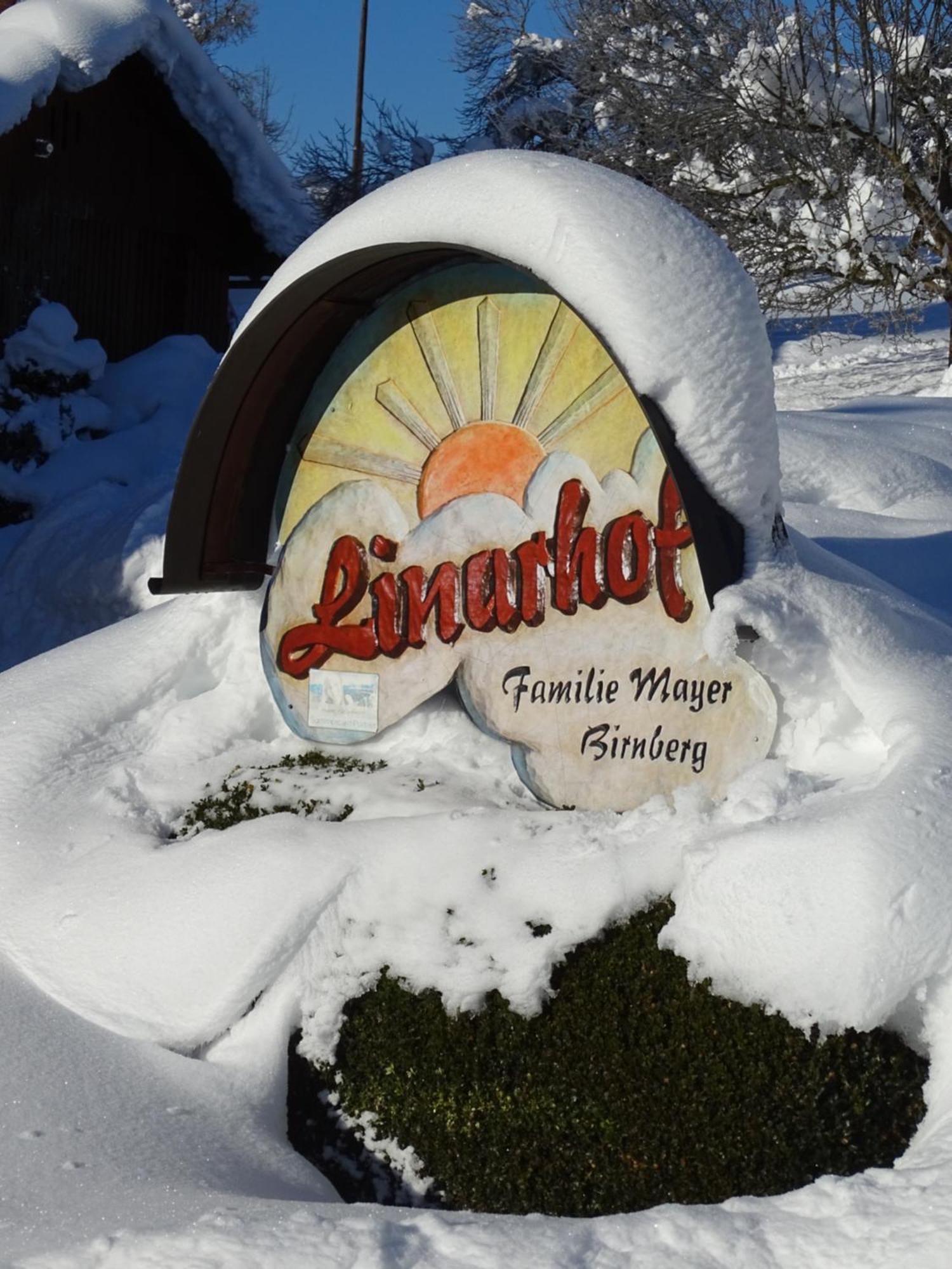Linarhof Apartment Urlaub Am Bio Bauernhof Haus im Ennstal Dış mekan fotoğraf