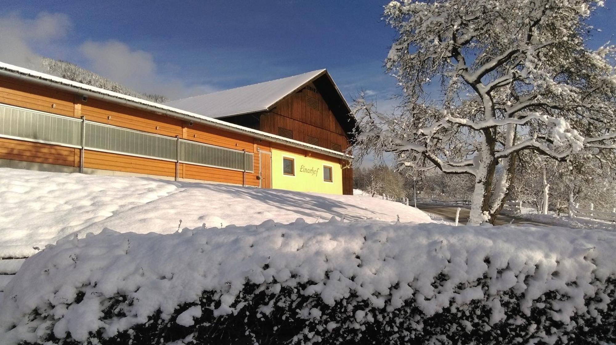 Linarhof Apartment Urlaub Am Bio Bauernhof Haus im Ennstal Dış mekan fotoğraf