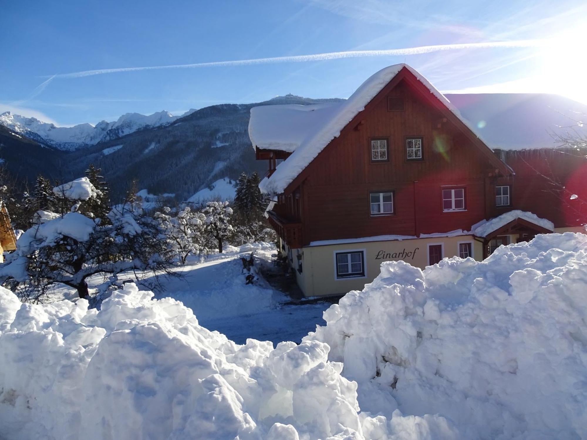 Linarhof Apartment Urlaub Am Bio Bauernhof Haus im Ennstal Dış mekan fotoğraf
