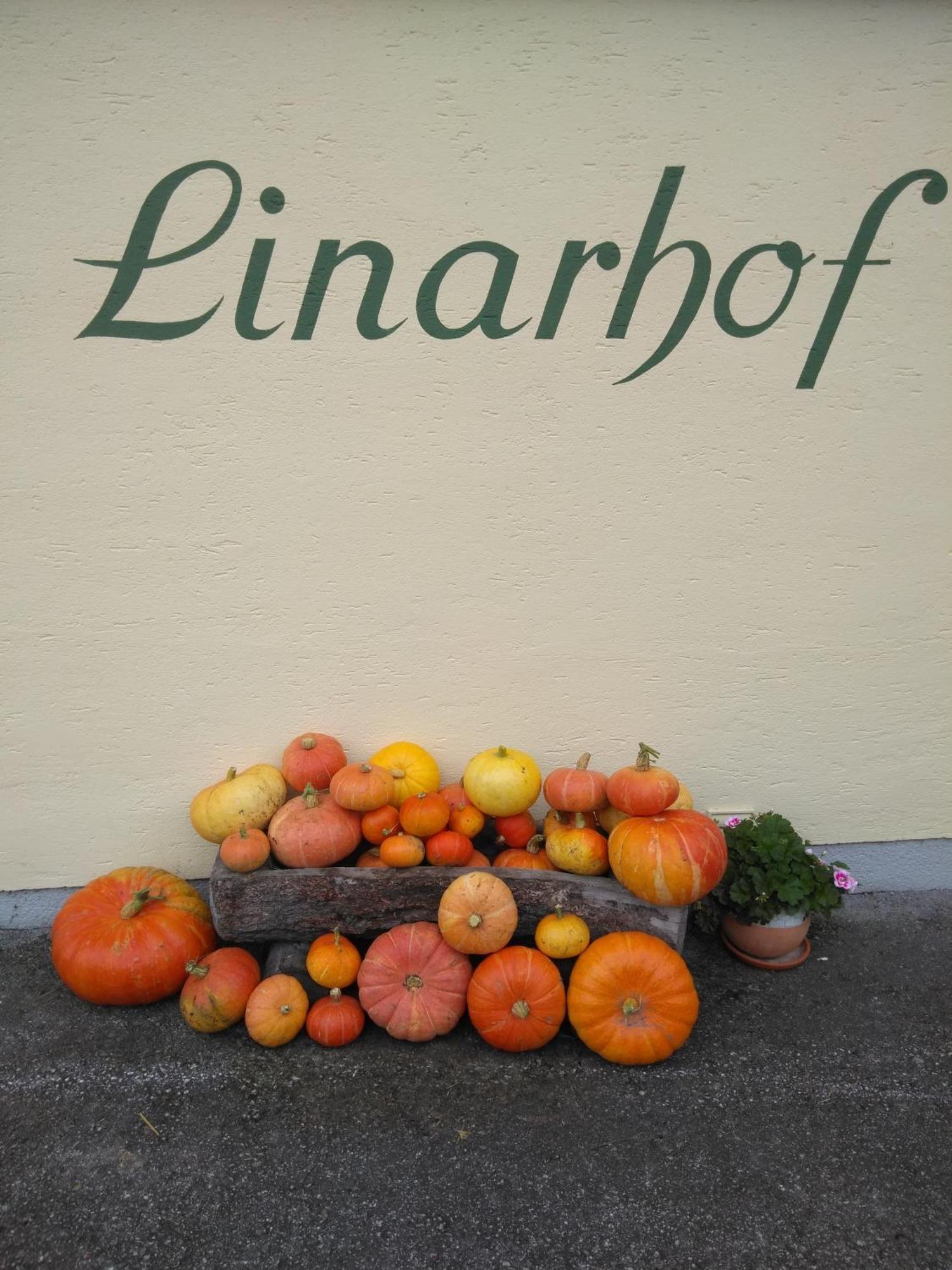 Linarhof Apartment Urlaub Am Bio Bauernhof Haus im Ennstal Dış mekan fotoğraf